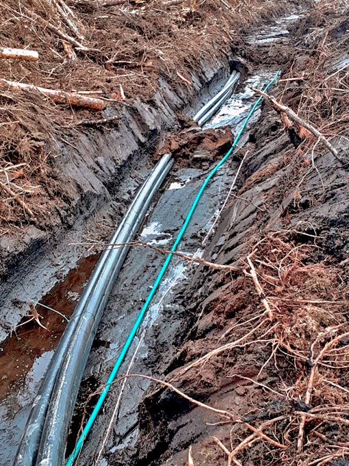 Halsary-Wind-Farm-510px Halsary Wind Farm