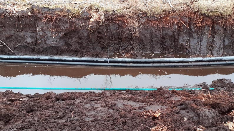 Halsary-Wind-Farm-795px Halsary Wind Farm